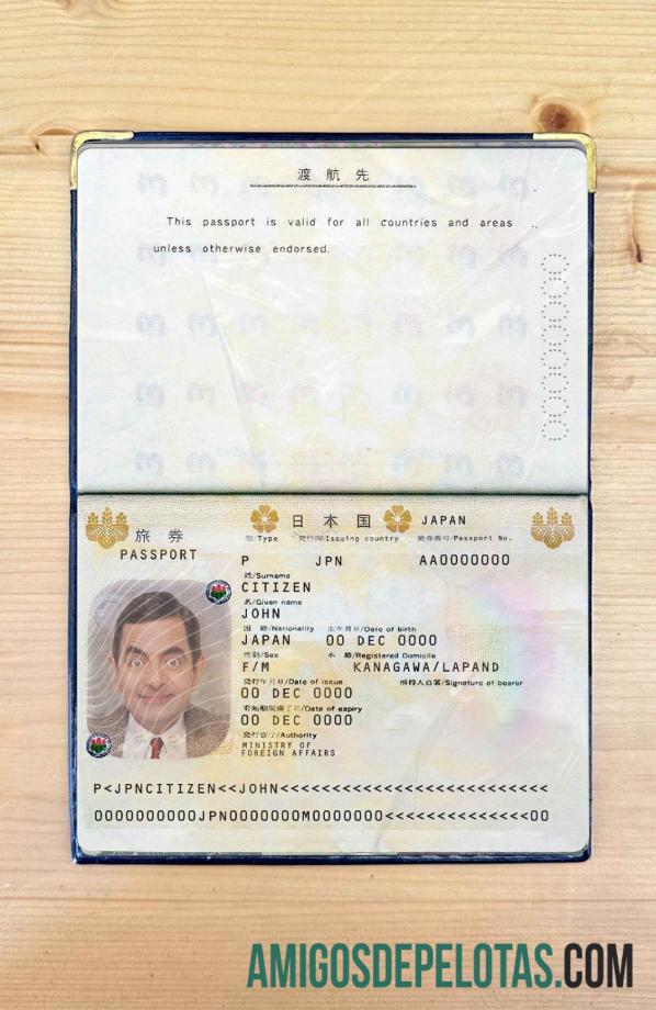 Visual fotográfico do Japan Pass exemplo